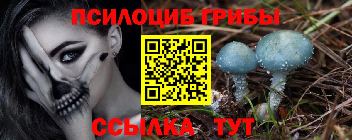 Галлюциногенные грибы Magic Shrooms Карачаевск